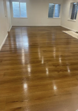 Living room after cleaning